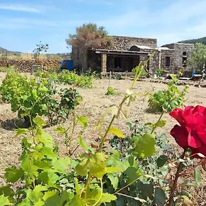 https://biodammuso.sicilyhotelsitaly.net